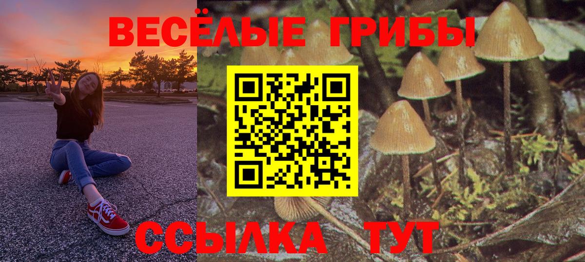 Галлюциногенные грибы MAGIC MUSHROOMS Новороссийск