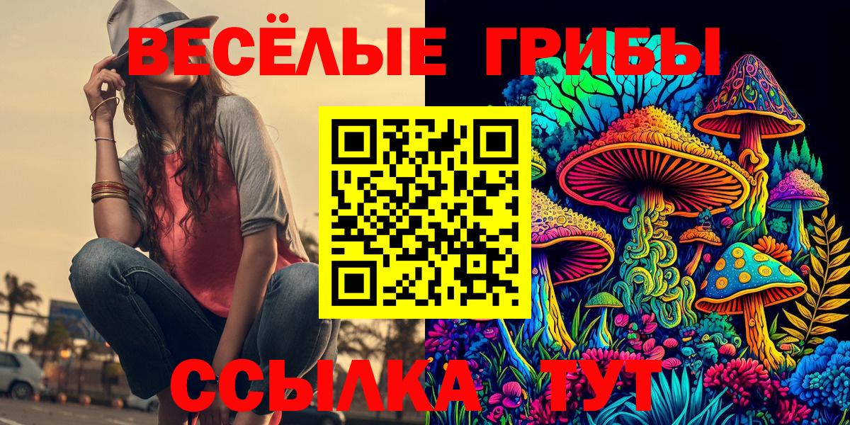 Новороссийск  Галлюциногенные грибы Psilocybine cubensis  Вход с VPN 